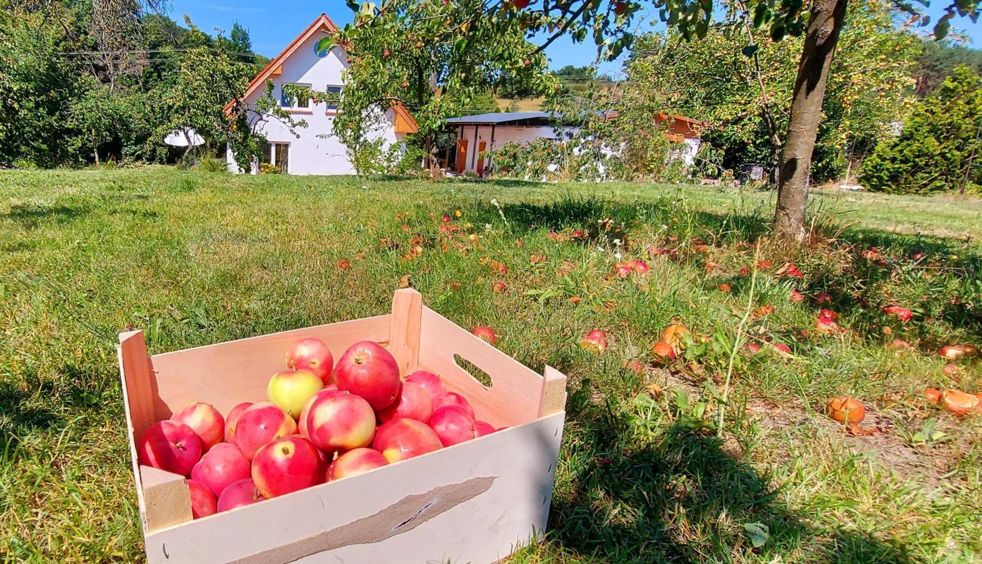 Dobre Miejsce Villa Miedzyzdroje Exterior foto
